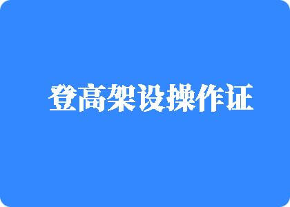 老年人三级片网登高架设操作证